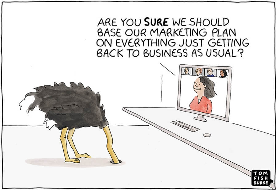 marketing-msg-900